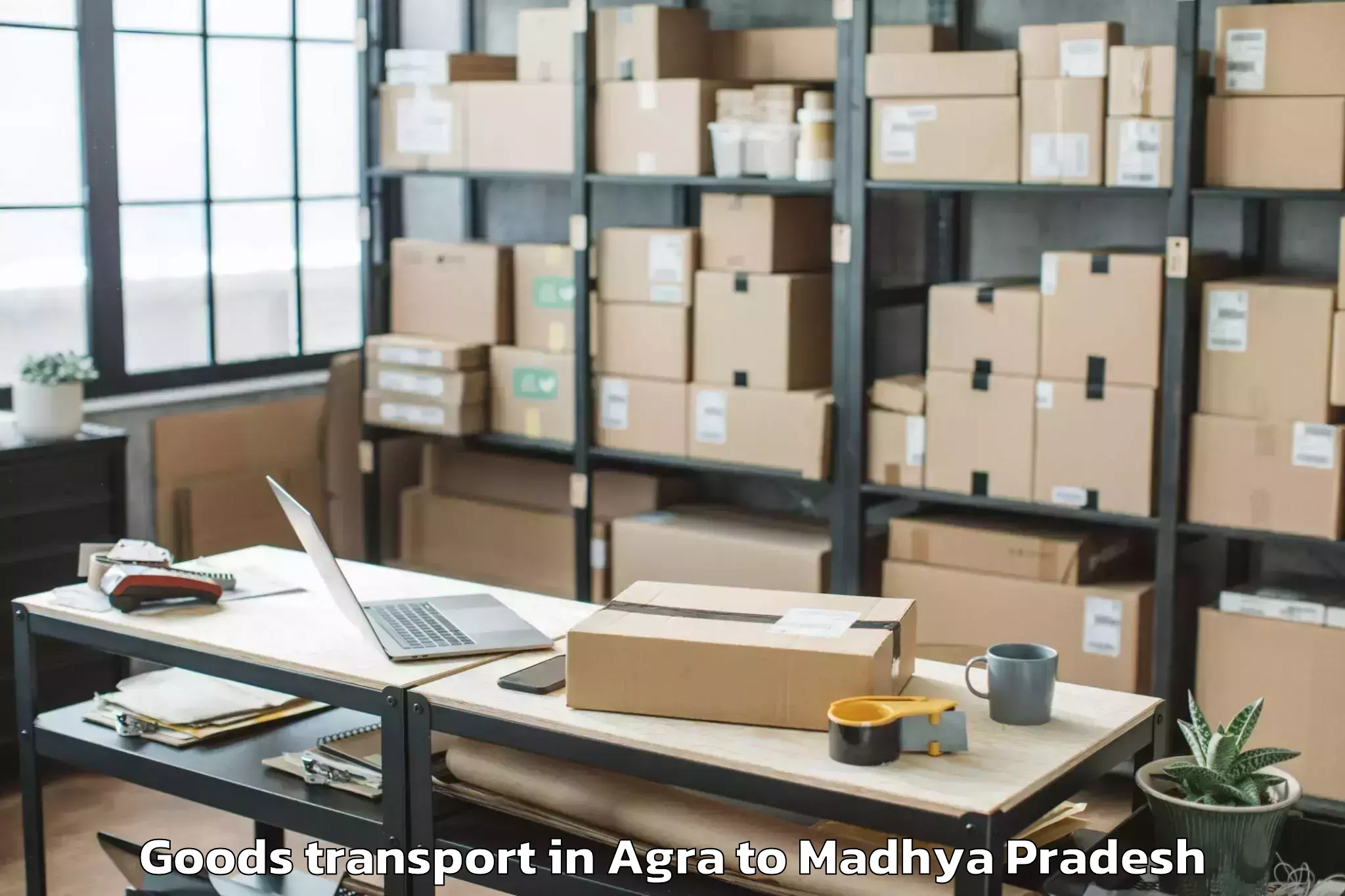 Top Agra to Ganj Basoda Goods Transport Available